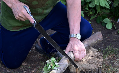 Similar image 21084594