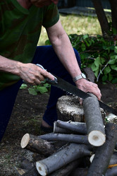 Similar image 21084601