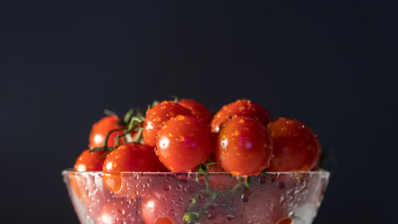 Similar image 21130237