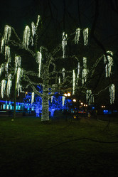 Similar image 21092533