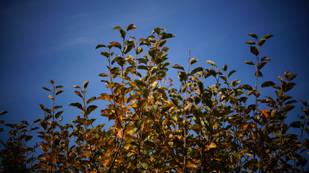 Similar image 21087622