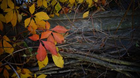 Similar image 21087623