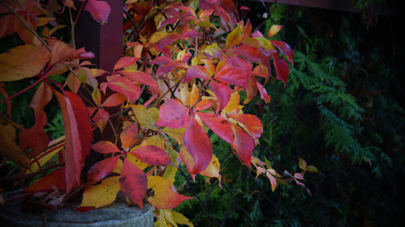 Similar image 21087624