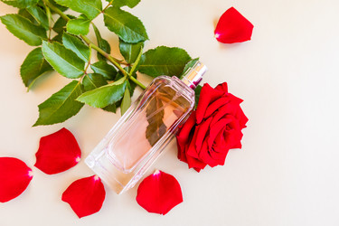 Similar image 21090800