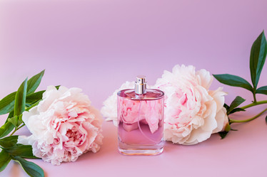 Similar image 21090802