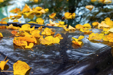 Similar image 21083973