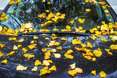 Similar image 21084030