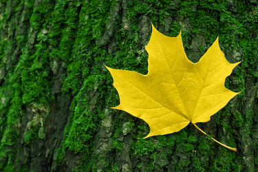 Similar image 21084031