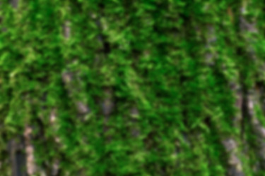 Similar image 21084032