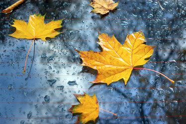 Similar image 21084033