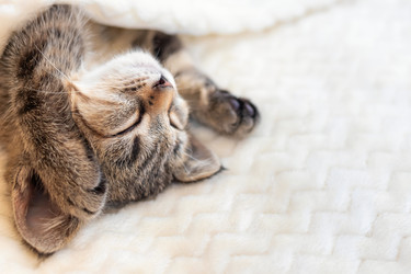 Similar image 21084034