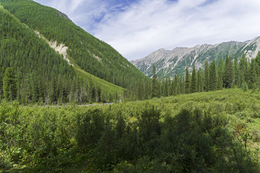 Similar image 21084607