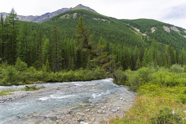 Similar image 21084608