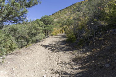 Similar image 21084610