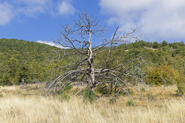 Similar image 21084626