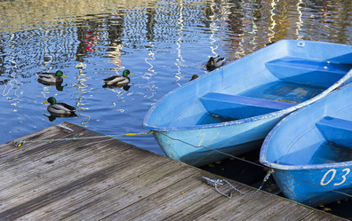 Similar image 21084634