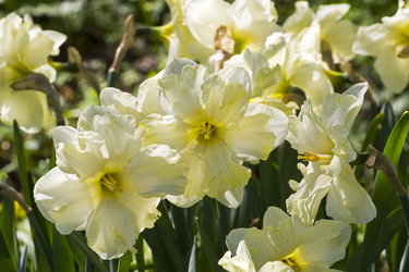 Similar image 21084639