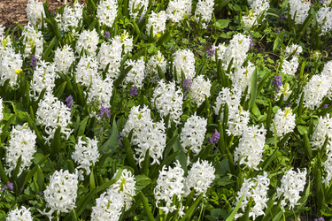 Similar image 21084643