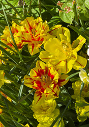 Similar image 21084644