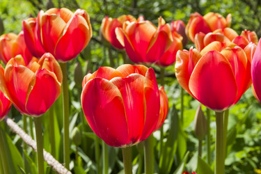 Similar image 21084645