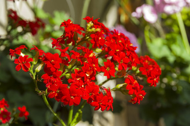 Similar image 21084647