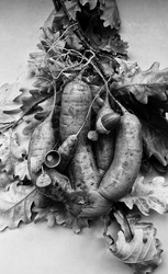 Similar image 21087520