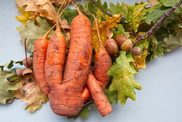 Similar image 21087522