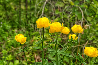 Similar image 21087523