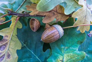 Similar image 21087526