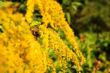 Similar image 21094314