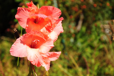 Similar image 21094315