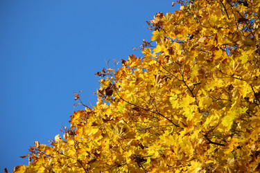 Similar image 21086402