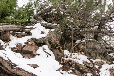 Similar image 21129114