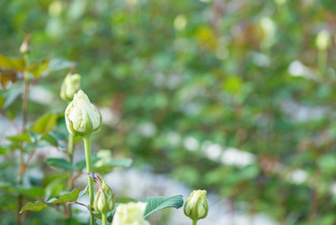 Similar image 21129379