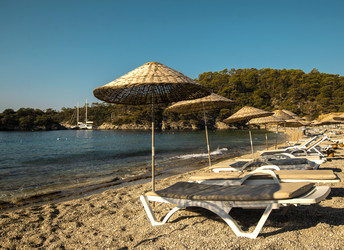 Similar image 21087562