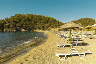 Similar image 21087576