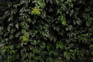 Similar image 21094316