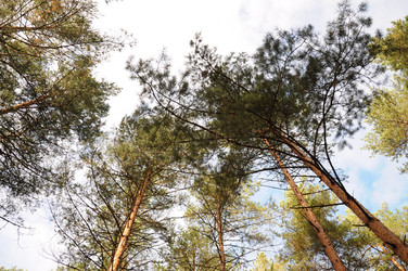 Similar image 21094317