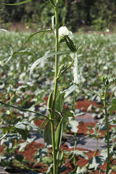 Similar image 21122425