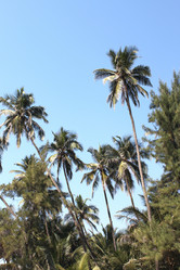 Similar image 21122427