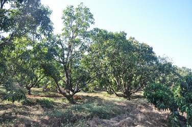 Similar image 21122428