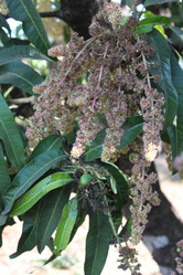 Similar image 21122429