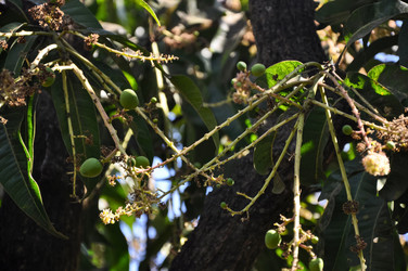 Similar image 21122431