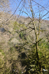 Similar image 21122438