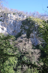 Similar image 21122607