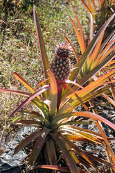 Similar image 21122611