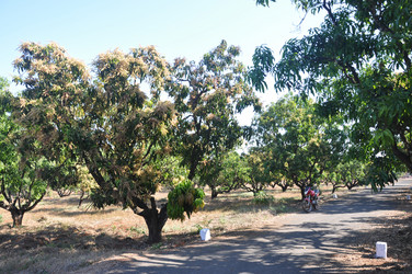 Similar image 21122613