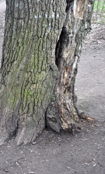 Similar image 21122617