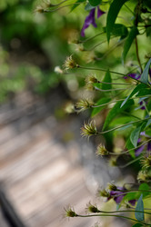 Similar image 21094458