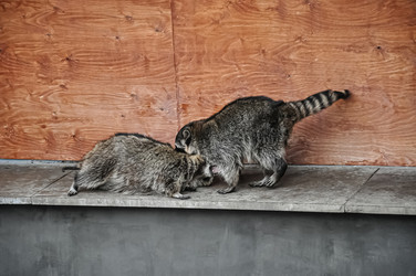 Similar image 21094459